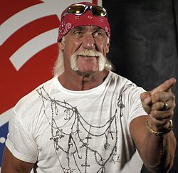 Hulk Hogan Quotes