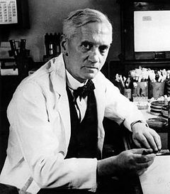 Alexander Fleming Quotes