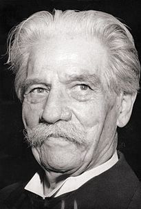 Albert Schweitzer Quotes