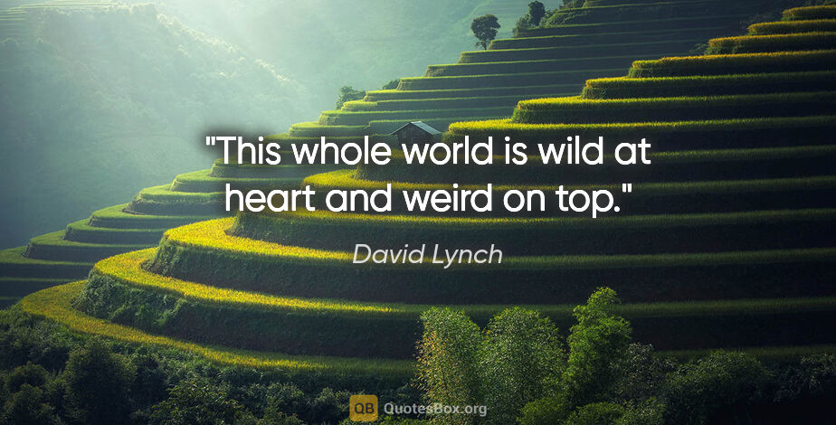 David Lynch quote: "This whole world is wild at heart and weird on top."