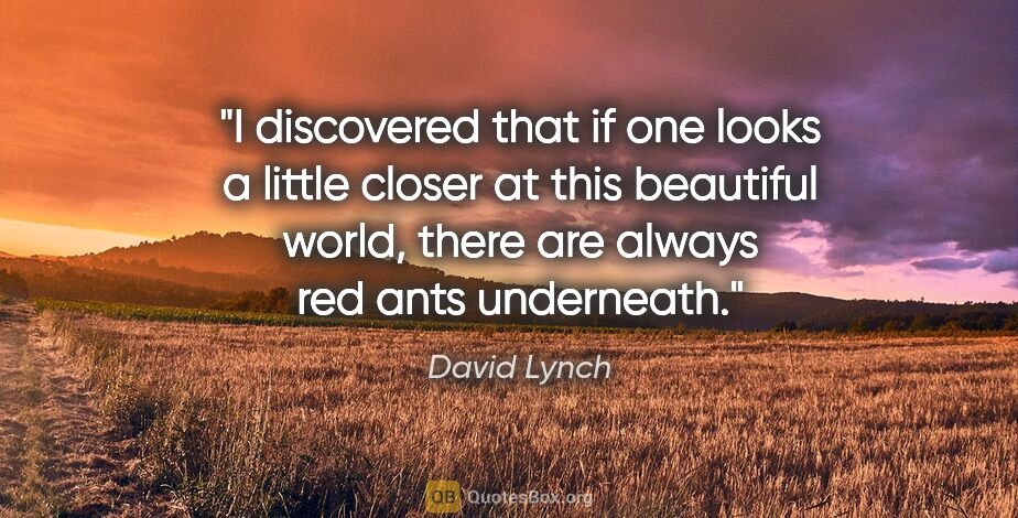 David Lynch quote: "I discovered that if one looks a little closer at this..."