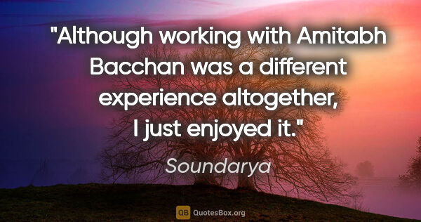 Soundarya quote: "Although working with Amitabh Bacchan was a different..."