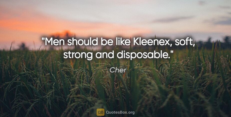 Cher quote: "Men should be like Kleenex, soft, strong and disposable."