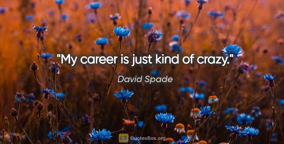 David Spade quote: "My career is just kind of crazy."