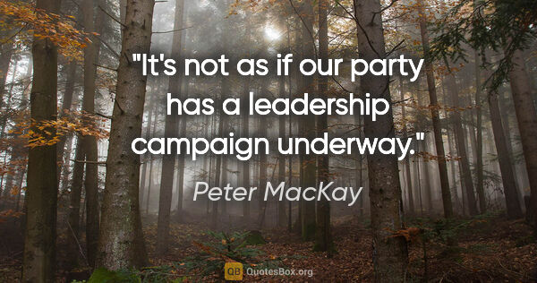 Peter MacKay quote: "It's not as if our party has a leadership campaign underway."