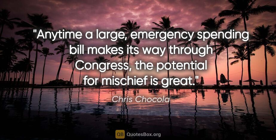 Chris Chocola quote: "Anytime a large, emergency spending bill makes its way through..."