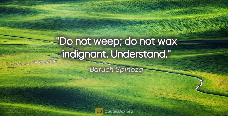 Baruch Spinoza quote: "Do not weep; do not wax indignant. Understand."