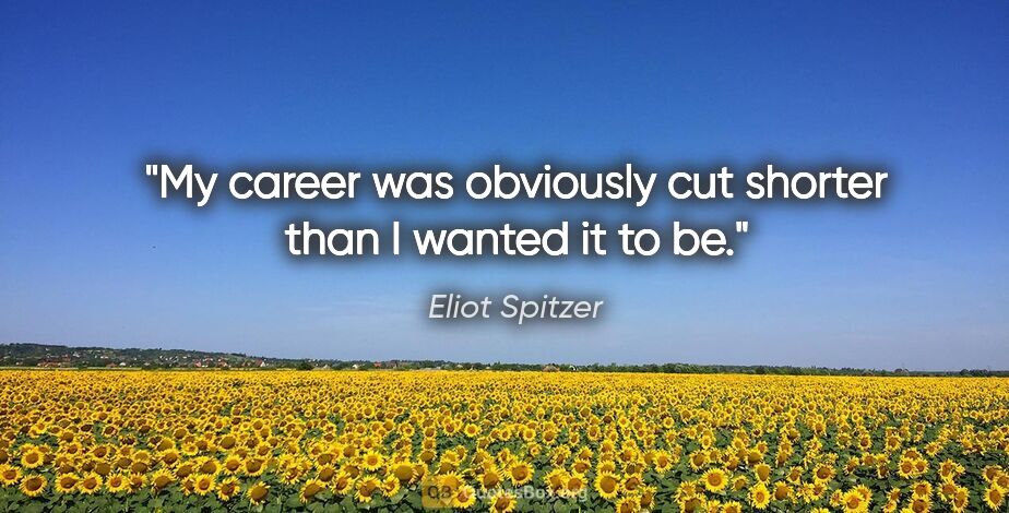 Eliot Spitzer quote: "My career was obviously cut shorter than I wanted it to be."