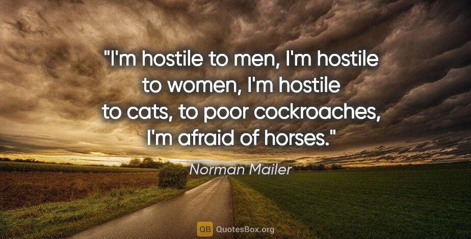 Norman Mailer quote: "I'm hostile to men, I'm hostile to women, I'm hostile to cats,..."