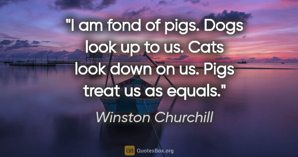 Winston Churchill quote: "I am fond of pigs. Dogs look up to us. Cats look down on us...."