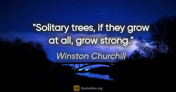 Winston Churchill quote: "Solitary trees, if they grow at all, grow strong."