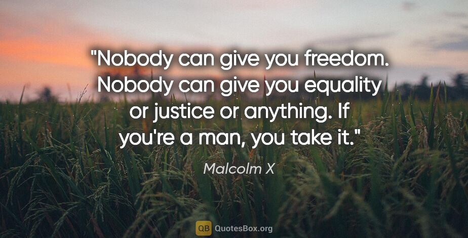 Malcolm X quote: "Nobody can give you freedom. Nobody can give you equality or..."