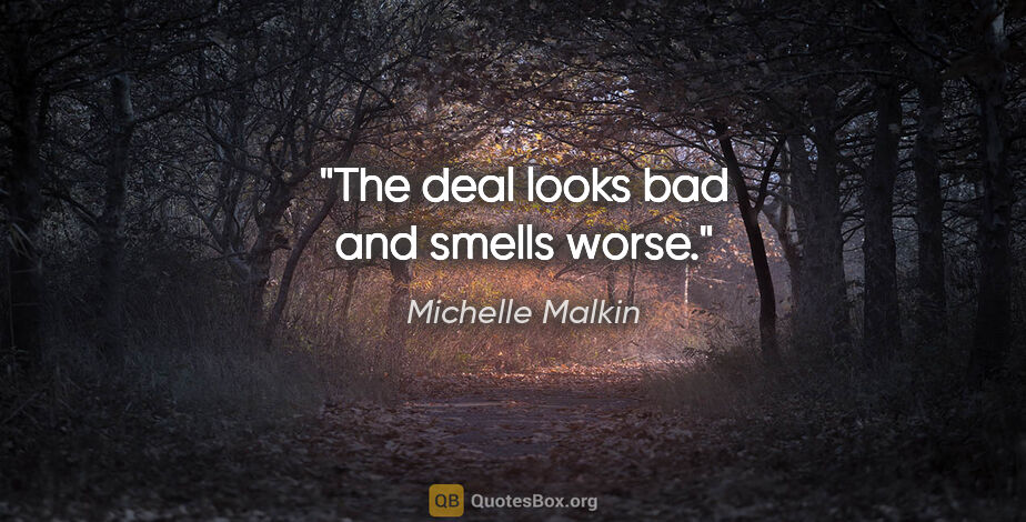 Michelle Malkin quote: "The deal looks bad and smells worse."