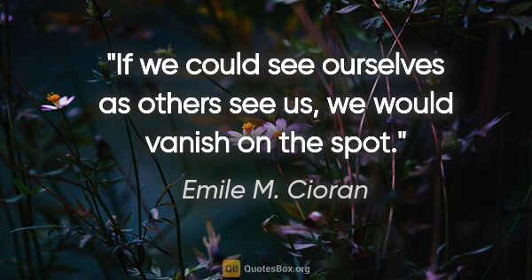 Emile M. Cioran quote: "If we could see ourselves as others see us, we would vanish on..."