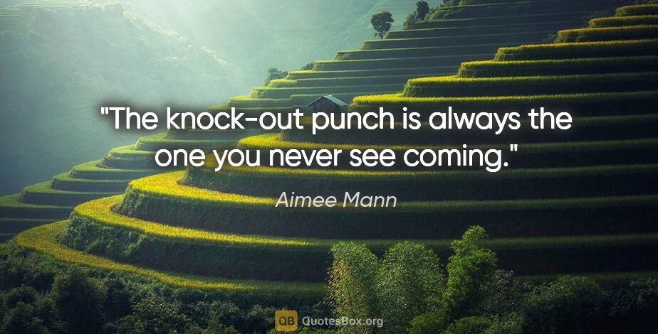 Aimee Mann quote: "The knock-out punch is always the one you never see coming."