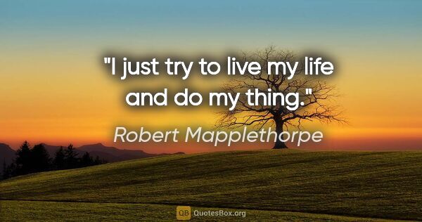 Robert Mapplethorpe quote: "I just try to live my life and do my thing."