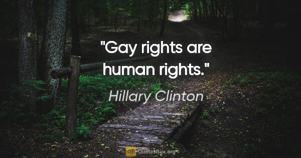 Hillary Clinton quote: "Gay rights are human rights."