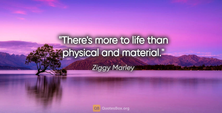 Ziggy Marley quote: "There's more to life than physical and material."