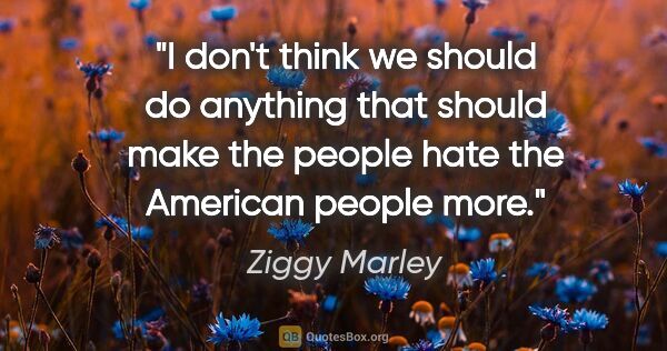 Ziggy Marley quote: "I don't think we should do anything that should make the..."