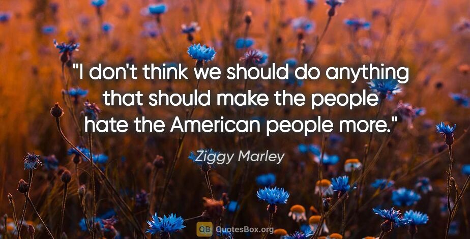 Ziggy Marley quote: "I don't think we should do anything that should make the..."