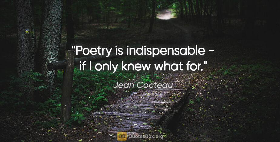 Jean Cocteau quote: "Poetry is indispensable - if I only knew what for."