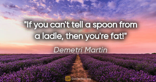 Demetri Martin quote: "If you can't tell a spoon from a ladle, then you're fat!"