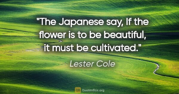 Lester Cole quote: "The Japanese say, If the flower is to be beautiful, it must be..."