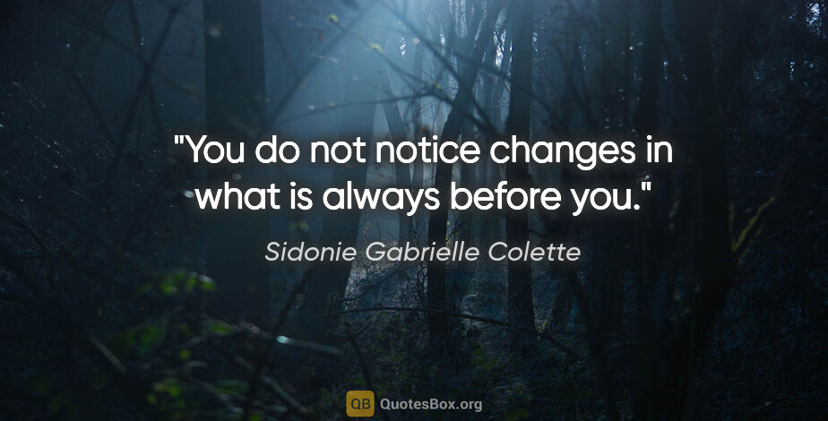 Sidonie Gabrielle Colette quote: "You do not notice changes in what is always before you."