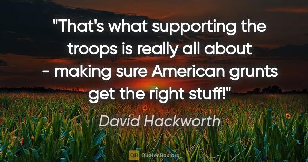 David Hackworth quote: "That's what supporting the troops is really all about - making..."