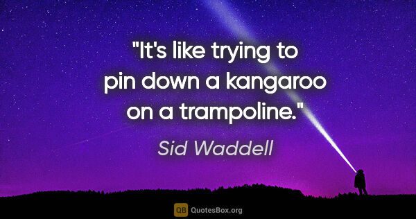 Sid Waddell quote: "It's like trying to pin down a kangaroo on a trampoline."
