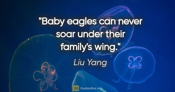 Liu Yang quote: "Baby eagles can never soar under their family's wing."