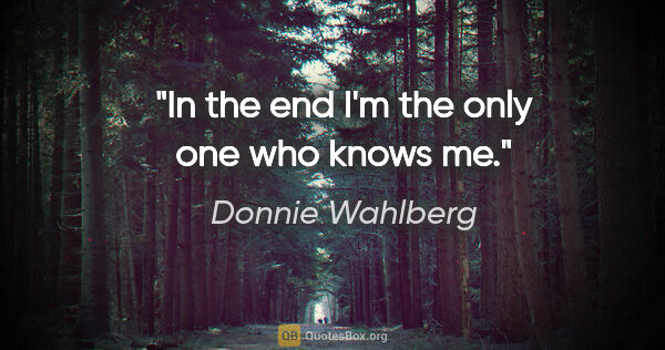 Donnie Wahlberg quote: "In the end I'm the only one who knows me."