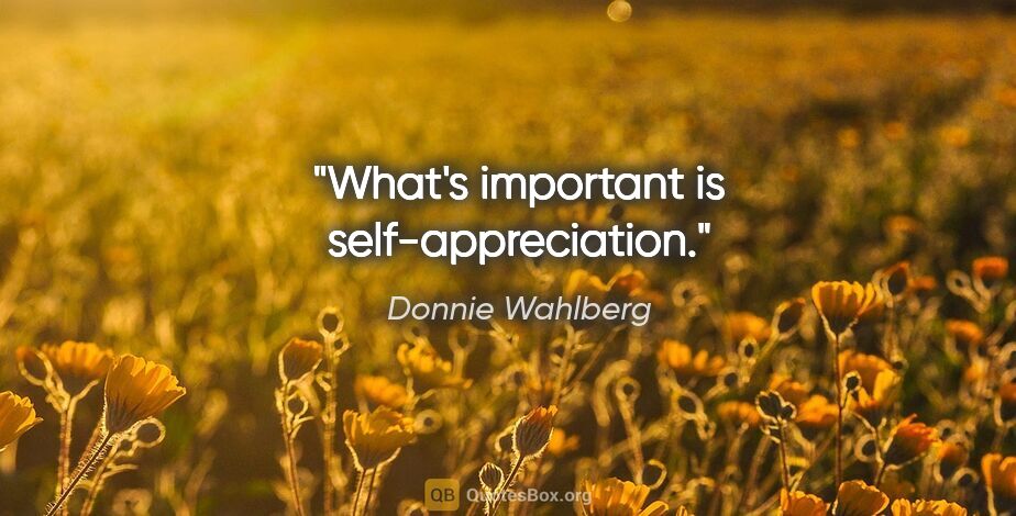Donnie Wahlberg quote: "What's important is self-appreciation."