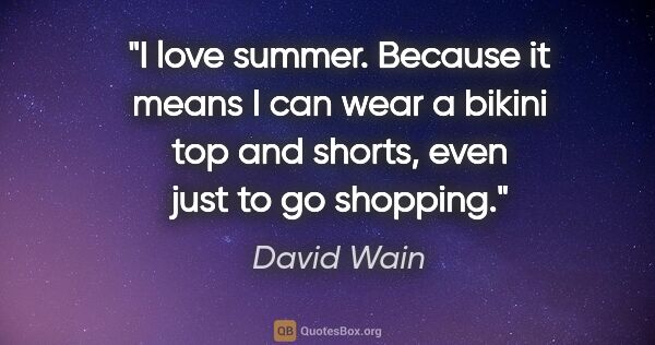 David Wain quote: "I love summer. Because it means I can wear a bikini top and..."
