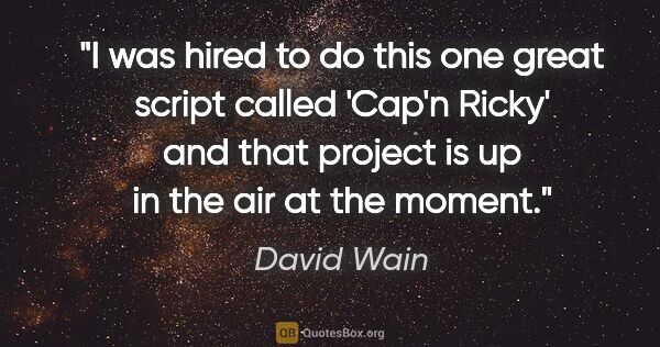 David Wain quote: "I was hired to do this one great script called 'Cap'n Ricky'..."