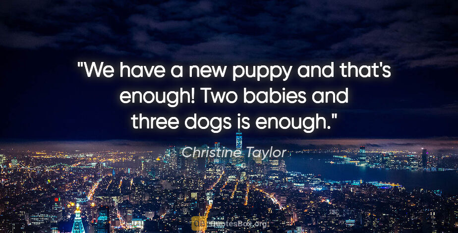 Christine Taylor quote: "We have a new puppy and that's enough! Two babies and three..."