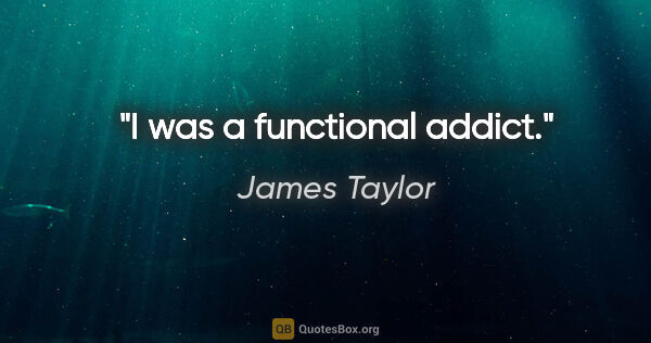 James Taylor quote: "I was a functional addict."