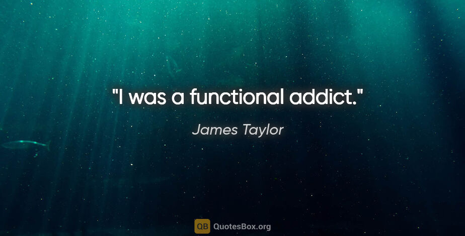 James Taylor quote: "I was a functional addict."