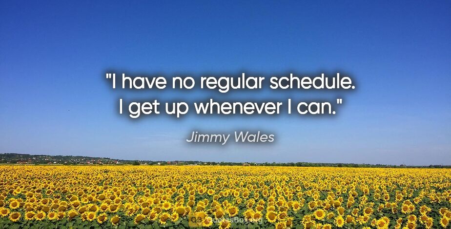 Jimmy Wales quote: "I have no regular schedule. I get up whenever I can."