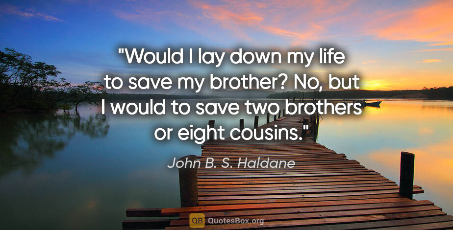 John B. S. Haldane quote: "Would I lay down my life to save my brother? No, but I would..."