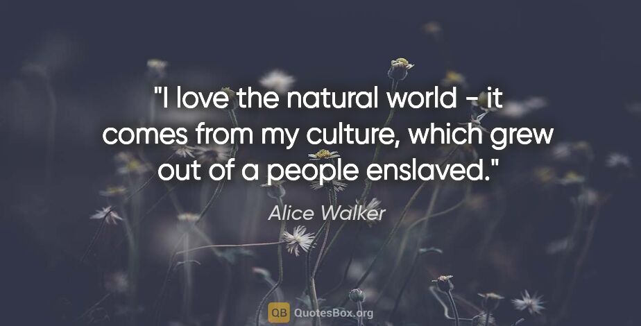 Alice Walker quote: "I love the natural world - it comes from my culture, which..."