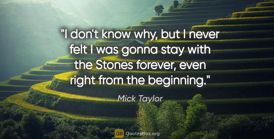 Mick Taylor quote: "I don't know why, but I never felt I was gonna stay with the..."
