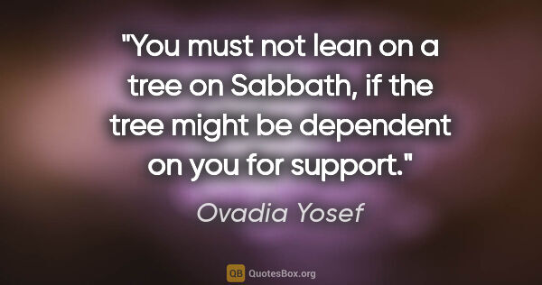 Ovadia Yosef quote: "You must not lean on a tree on Sabbath, if the tree might be..."