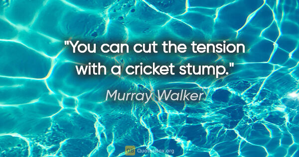 Murray Walker quote: "You can cut the tension with a cricket stump."