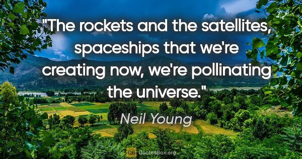 Neil Young quote: "The rockets and the satellites, spaceships that we're creating..."