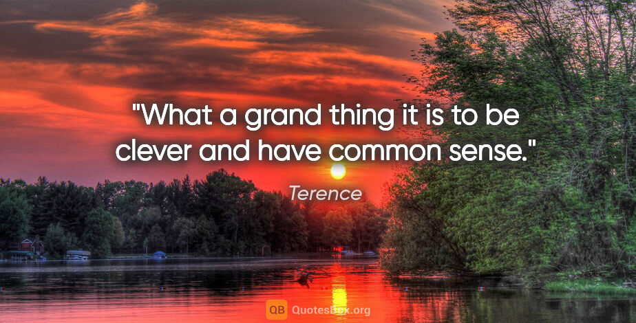 Terence quote: "What a grand thing it is to be clever and have common sense."