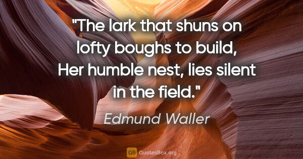 Edmund Waller quote: "The lark that shuns on lofty boughs to build, Her humble nest,..."