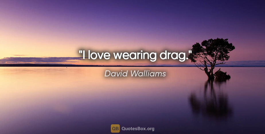 David Walliams quote: "I love wearing drag."