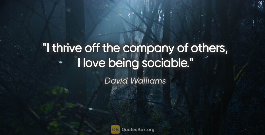 David Walliams quote: "I thrive off the company of others, I love being sociable."