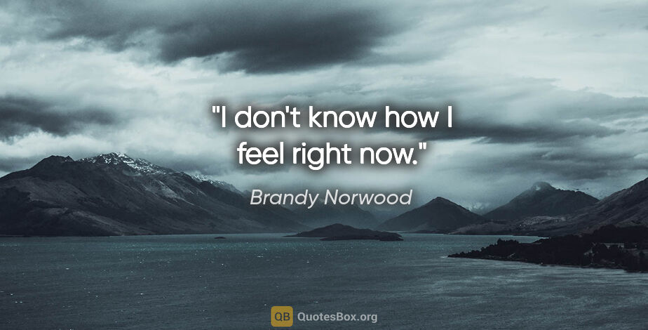 Brandy Norwood quote: "I don't know how I feel right now."